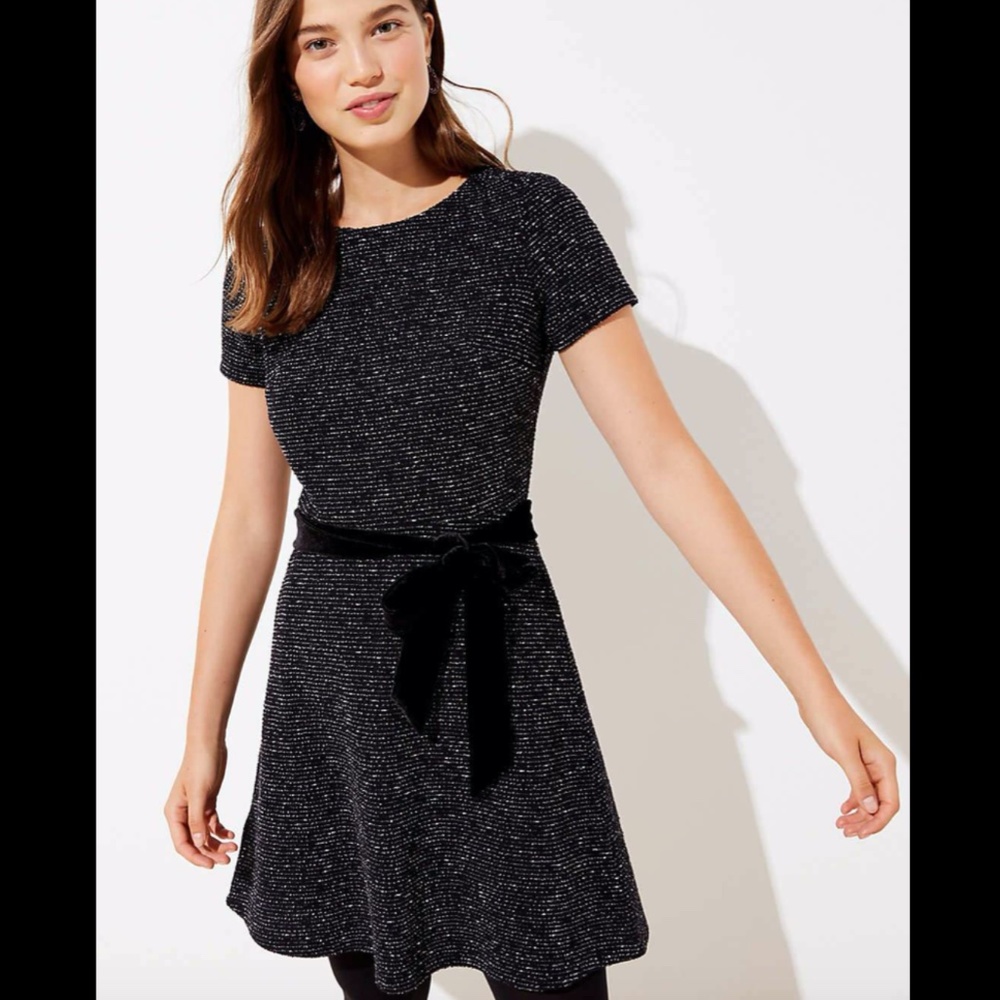 NWT Loft textured velvet belted dress (Size 0)